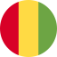 Guinea icon 64x64