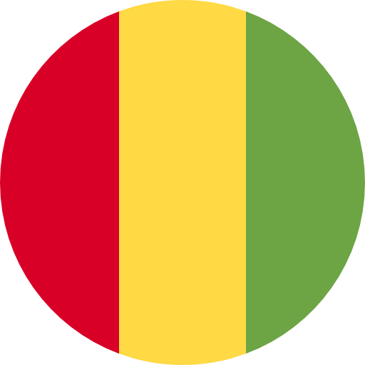 Guinea icon