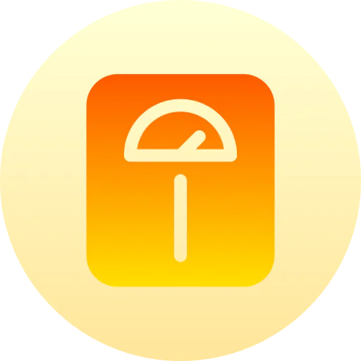 Scale icon