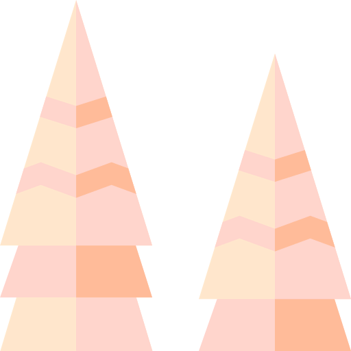 Cone icon