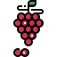 Grapes icon 64x64