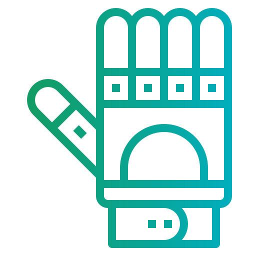 Gloves icon
