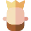 King icon 64x64