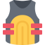 Bulletproof vest icon 64x64
