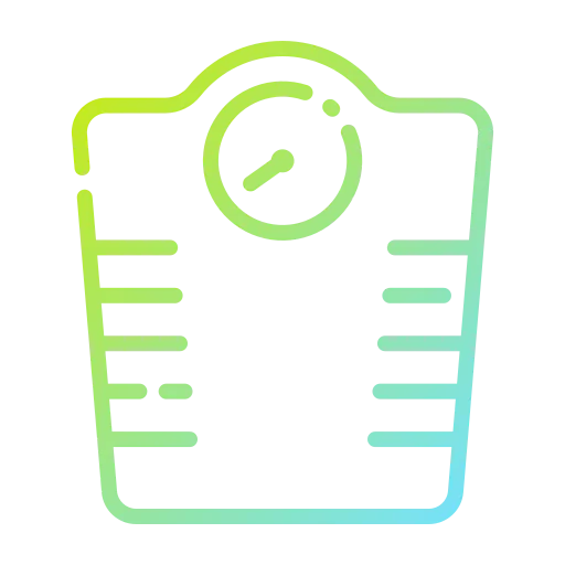 Scale icon