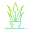 Aloe vera icon 64x64