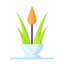 Aloe vera icon 64x64