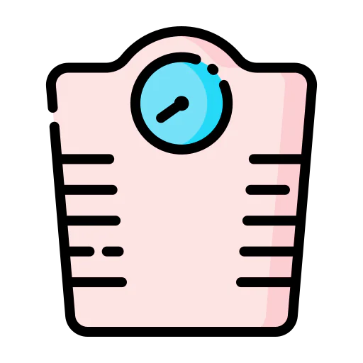 Scale icon