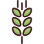 Grain icône 64x64