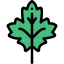 Leaf icon 64x64
