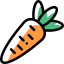 Carrot icon 64x64