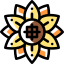 Sunflower icon 64x64