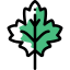 Leaf icon 64x64