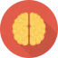 Brain icon 64x64