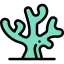 Coral icon 64x64