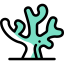 Coral icon 64x64