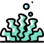 Seaweed icon 64x64