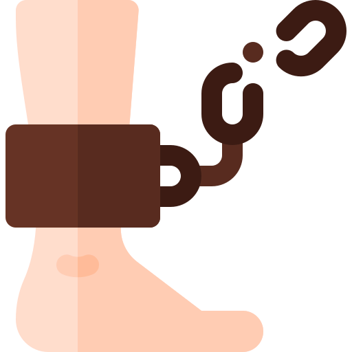 Arrested icon