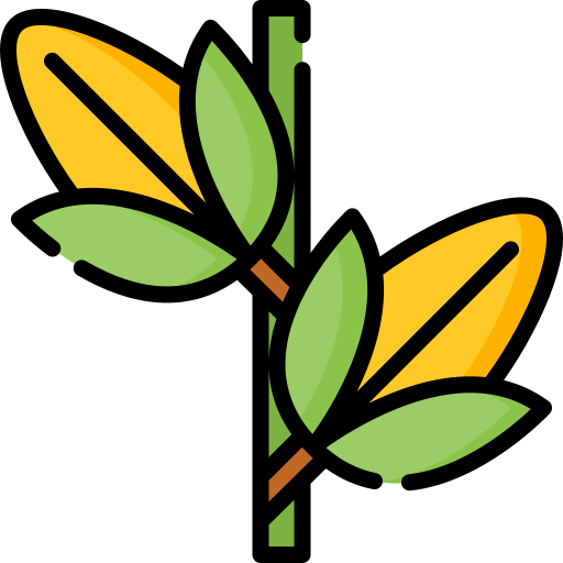 Corn icon