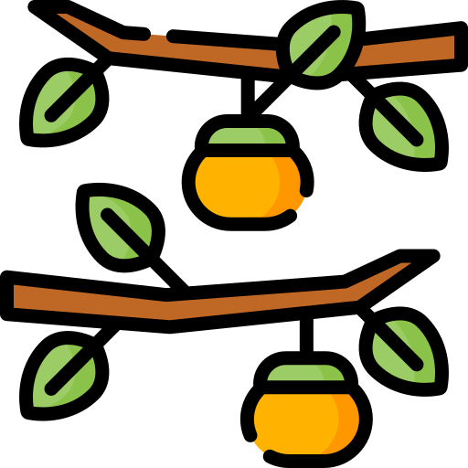 Persimmon icon