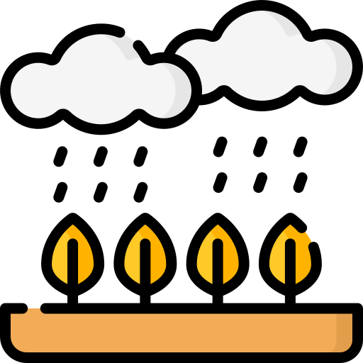 Rain icon
