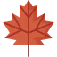 Maple leaf 图标 64x64
