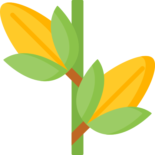 Corn icon