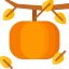 Pumpkin icon 64x64