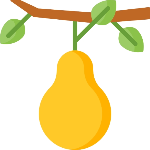 Pear icon