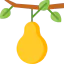 Pear icon 64x64
