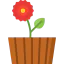 Dahlia icon 64x64
