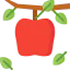 Apple icon 64x64