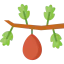 Fig icon 64x64
