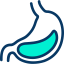 Stomach icon 64x64