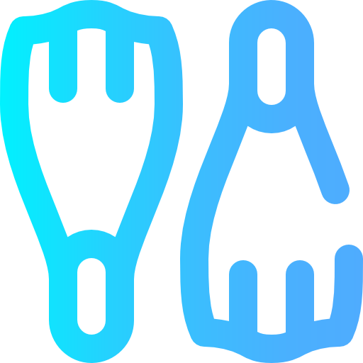 Flippers icon