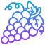 Grape icon 64x64