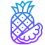 Pineapple icon 64x64