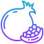 Pomegranate icon 64x64