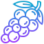 Grapes icon 64x64