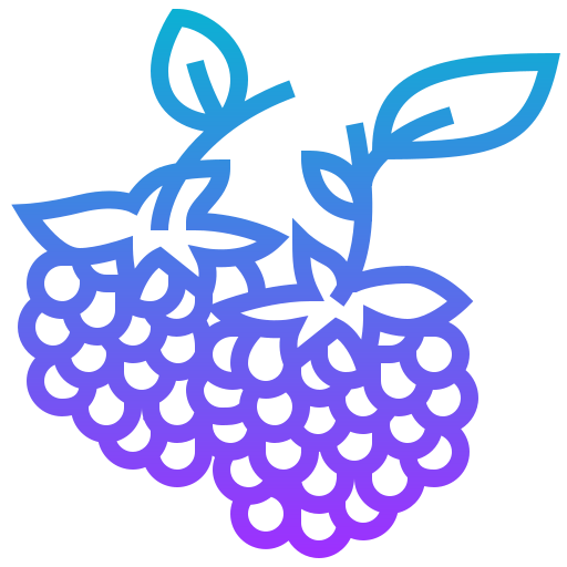 Raspberry icon