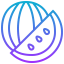 Watermelon icon 64x64