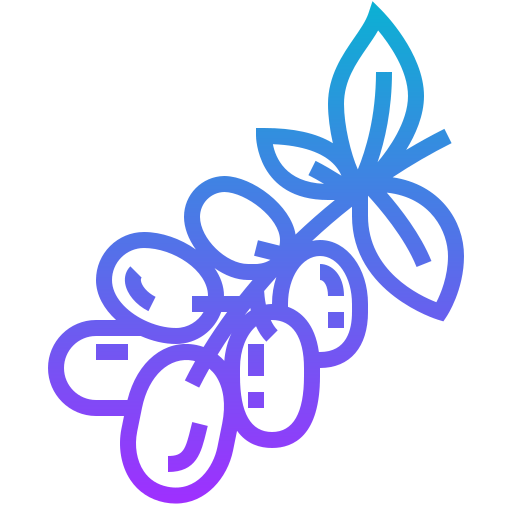Grape icon