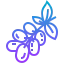 Grape icon 64x64