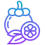 Mangosteen icon 64x64