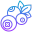 Blueberry icon 64x64