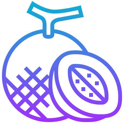 Melon icon