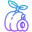 Plum icon 64x64