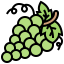 Grape icon 64x64