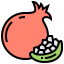 Pomegranate icon 64x64