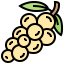 Grapes icon 64x64